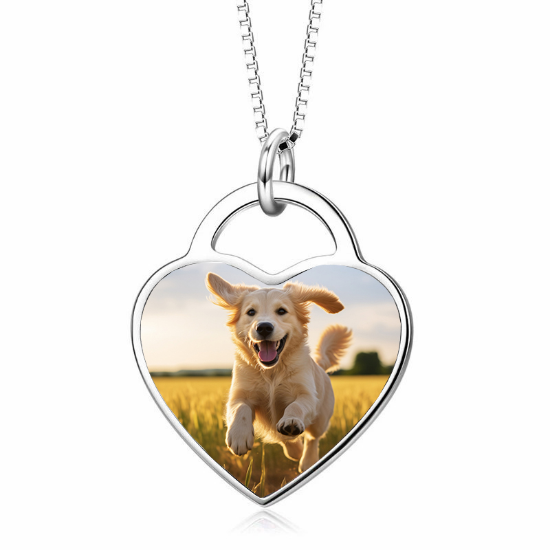 Custom Photo Pet Memorial Necklace - Sterling Silver Heart Pendant for Pet Loss, Personalized Pet Jewelry Gift