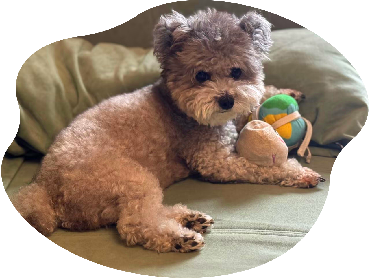 微信图片_20251010111412_134_836_副本