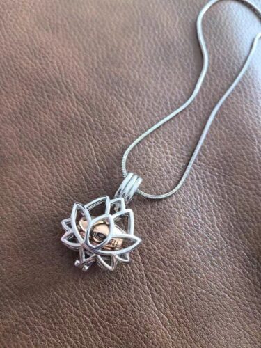 Click to view full screen Open Locket Paw Print Urn Necklace | Stainless Steel Pet Hair & Ashes Keepsake photo review