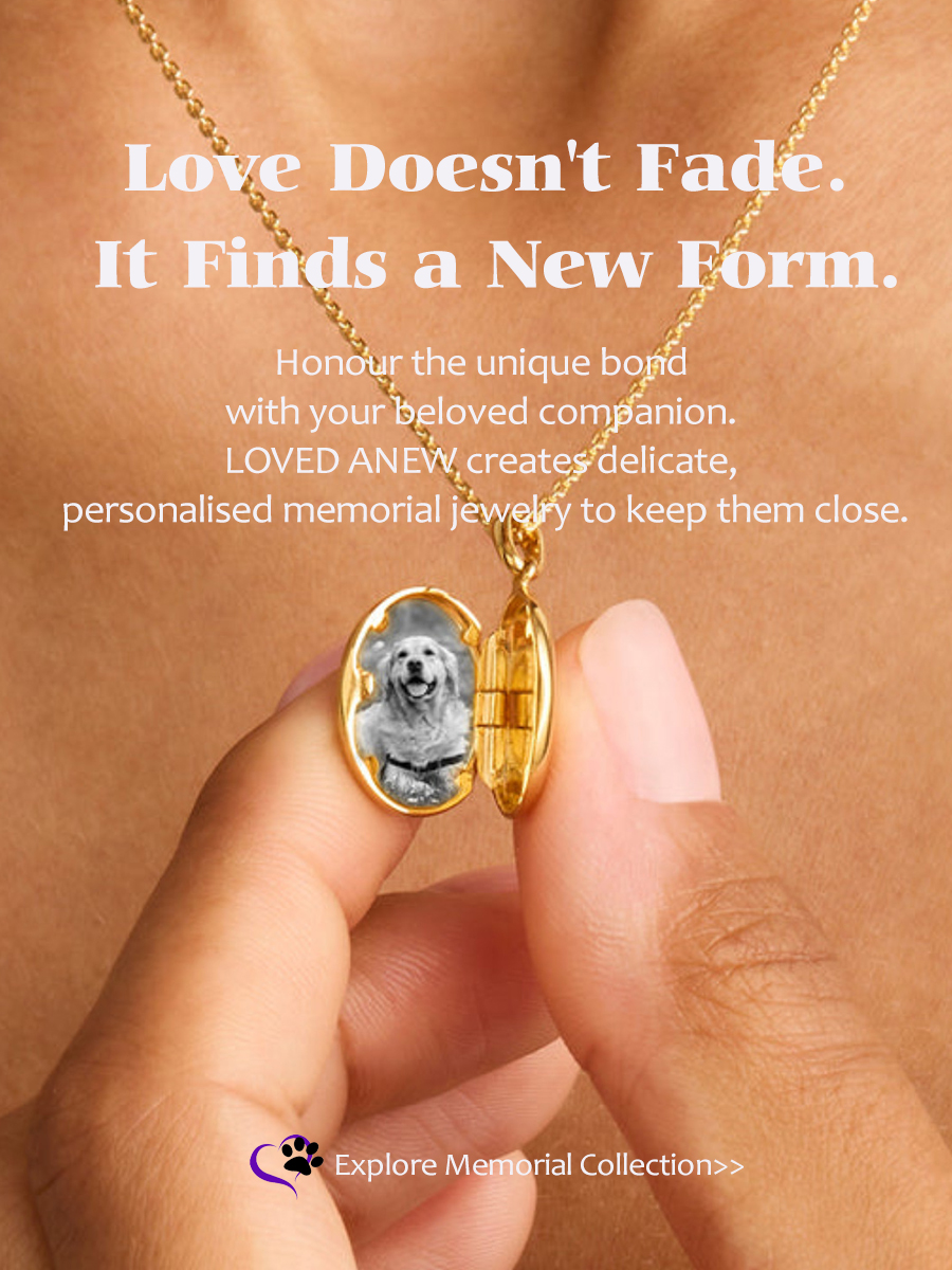 独立站PC端首图1