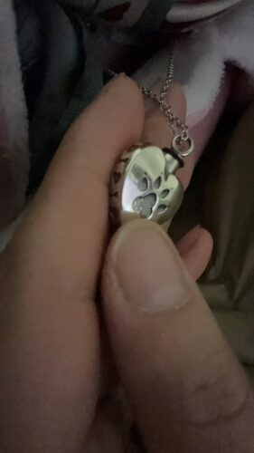 Click to view full screen Silver pet ash necklaces paw print heart urn necklace for ashes memorial jewelry for pet Loss photo review