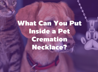 ScreenShot_2025-12-10_100607_982