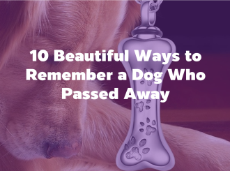 ScreenShot_2025-12-10_103845_975