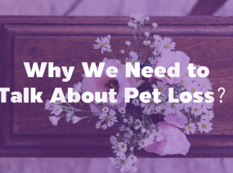 新建 PPTX 演示文稿_05