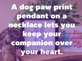 新建 PPTX 演示文稿_06(3)