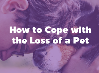 新建 PPTX 演示文稿_06(5)