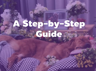 新建 PPTX 演示文稿_06(7)