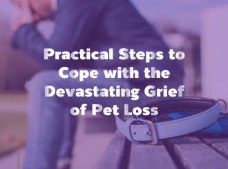 新建 PPTX 演示文稿_10