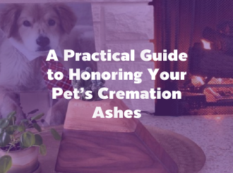 新建 PPTX 演示文稿_10(1)