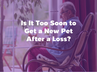 新建 PPTX 演示文稿_10(3)